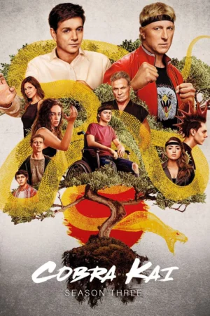 Võ Đường Cobra Kai 3
