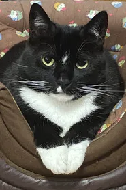 GaTa